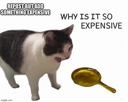 Image result for Ooh That Looks Expensive Meme