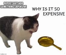 Image result for Expensive Meme