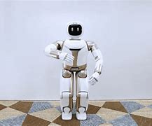 Image result for Japanese Companion Robot