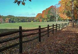 Image result for New England Autumn 8K
