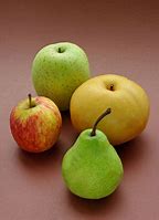 Image result for Apple and Pear Ribina