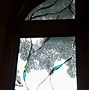 Image result for Half Moon Window with Seat