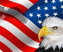 Image result for Eagle American Flag Desktop Wallpaper