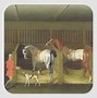 Image result for Thoroughbred Horse Paintings