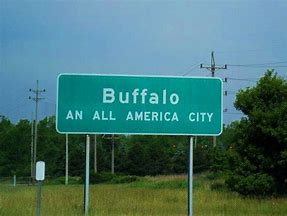 Image result for Buffalo NY Sign