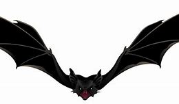 Image result for Bat Wings Transparent PNG
