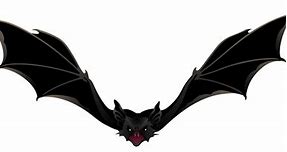 Image result for Animated Black Bat