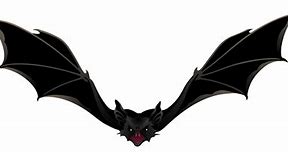 Image result for Bat Clear Background