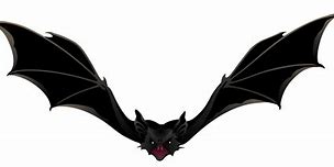 Image result for Beautiful Anime Bat