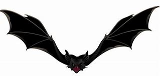 Image result for Moodle Bat Picture