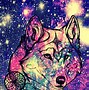 Image result for Dancing Galaxy Meme Dog