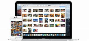 Image result for iPhone 7 Plus Photography