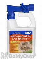 Image result for Mole Cricket Insecticide