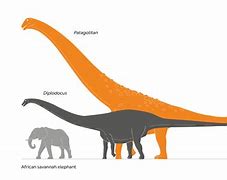Image result for Biggest Dinosaur in the World Image
