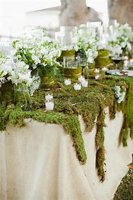 Image result for Moss Table Decor