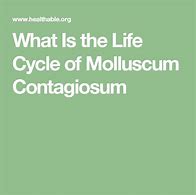 Image result for Molluscum Life Cycle