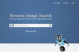 Image result for Visual Search Engine