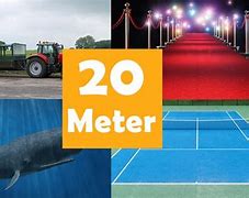 Image result for 20 Meters Long
