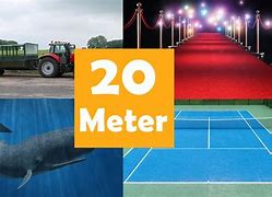 Image result for 18 Meters in Real Life