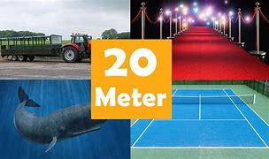 Image result for How Long Is 20 Meters Visualized