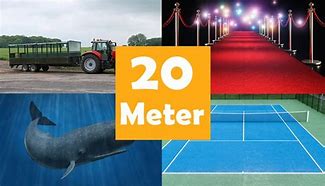 Image result for About How Long Is 20 Meters