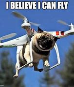 Image result for Funny Memes Flying Dog