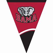 Image result for Alabama College Flag