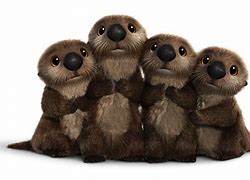 Image result for Finding Dory Otters