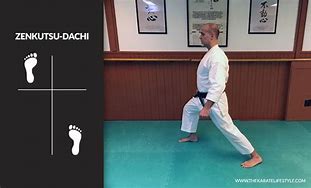 Image result for Basic Karate Stances