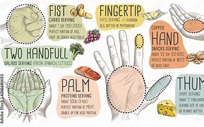 Image result for Portion Control Sizes Chart
