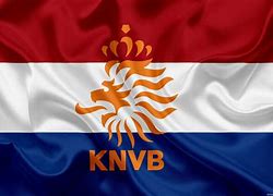 Image result for Netherlands Flag