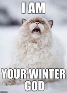 Image result for Kitty Winter Meme