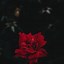 Image result for Black iPhone 6s Plus Wallpaper