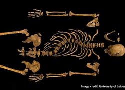 Image result for Anne Boleyn Skeleton