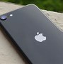 Image result for iPhone SE 2020 in Somebody's Hand