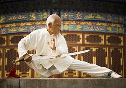 Image result for Shaolin Kung Fu Art