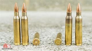 Image result for 223 vs 5 56 Ammunition