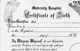Image result for Maine Birth Certificate
