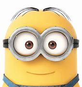 Image result for Minion with IP