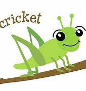 Image result for Animated Cricket in Spider Web