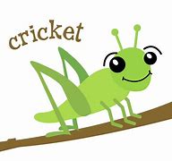 Image result for Cricket Cartoon Images