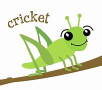 Image result for Cricket Bug Super Tall