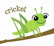 Image result for Cricket Insect Cartoon Character Sheet
