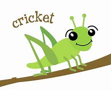 Image result for Cricket Insect File and Scraper Cartoon