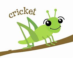 Image result for Cricket Cute Cartoon Vector