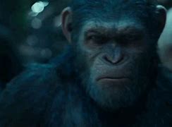 Image result for Rise of the Planet of the Apes GIF