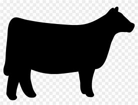 Image result for Heifer Cow Clip Art