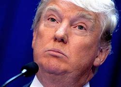 Image result for Donald Trump Fast Food