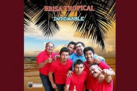 Image result for indomesticable
