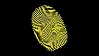 Image result for Phone Wallapaper for Fingerprint